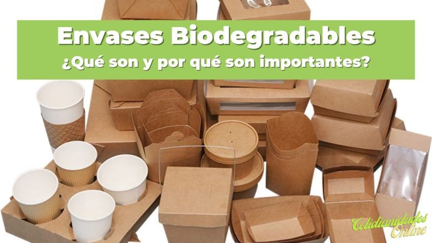 Envases Biodegradables ¿Qué son y por qué son importantes? 6 Envases Biodegradables ¿Qué son y por qué son importantes?