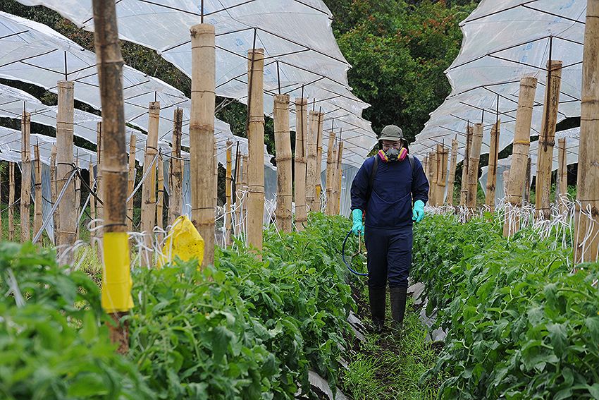 Agricultura Orgánica: Beneficios de Alimentos Orgánicos 5 Reduccion del uso de productos quimicos