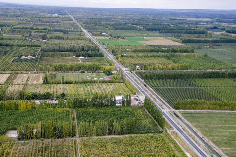 Qué es la fruticultura en el Alto Valle de Río Negro