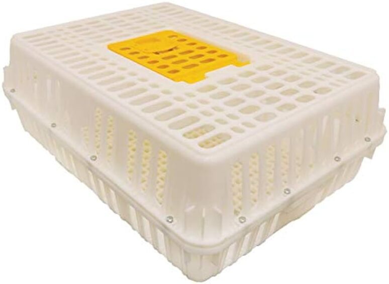 Cuántos kilos trae un cajón de pollo: guía práctica 5 Cuántos kilos trae un cajón de pollo: guía práctica