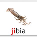 Palabras en español que comienzan con ji": Lista y ejemplos" comienzan-ji