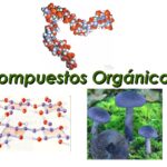 Qué es un enlace químico en los compuestos orgánicos compuestos-organicos