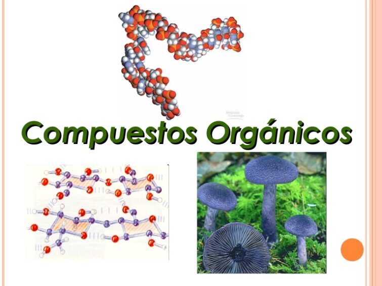 Qué es un enlace químico en los compuestos orgánicos 6 Qué es un enlace químico en los compuestos orgánicos