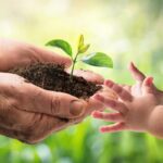 Cómo puedo contribuir al cuidado del medio ambiente en mi comunidad cuidado-ambiente