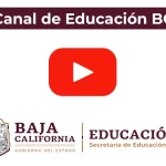 Cómo consultar las calificaciones en Cobaem edu mx edu-mx