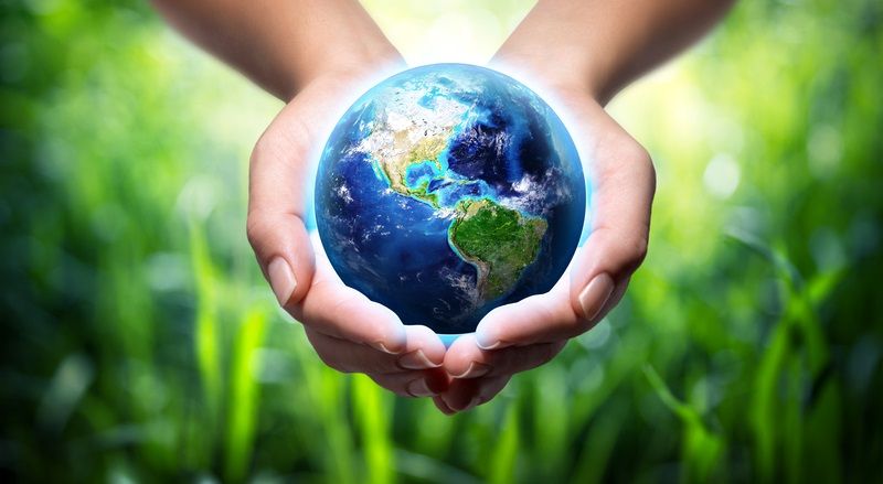 Cómo contribuye al equilibrio del medio ambiente en tu comunidad 2 equilibrio ambiente