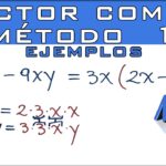 factor-comun