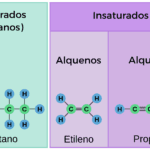 Cómo se preparan los hidrocarburos saturados e insaturados hidrocarburos-saturados