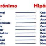 hiponimos-hiperonimos