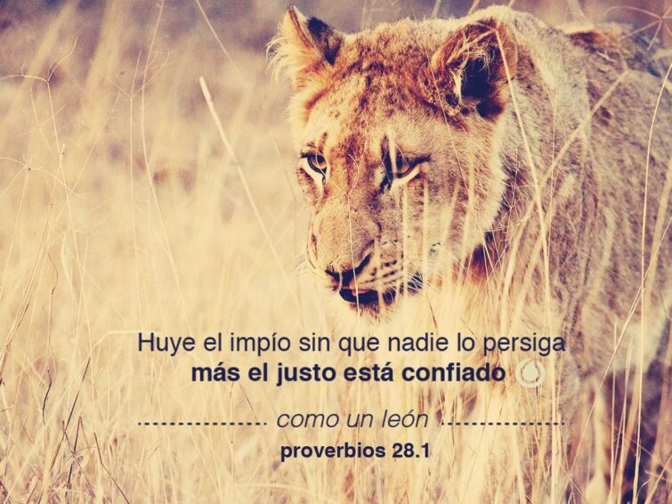 Qué significa huye el impío sin que nadie lo persiga" en la Biblia" 5 Qué significa huye el impío sin que nadie lo persiga» en la Biblia»