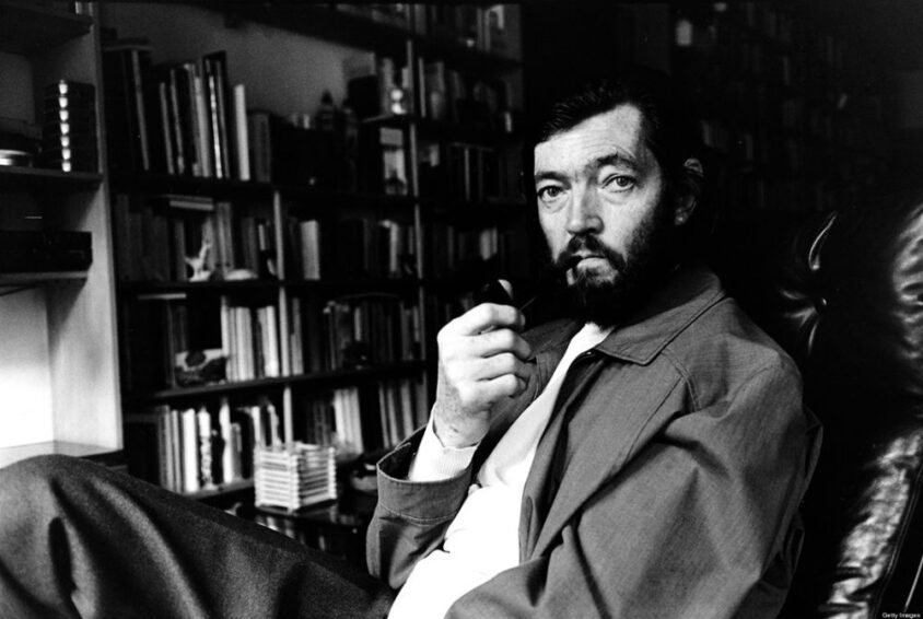Qué es el Instituto de Desarrollo Infantil Julio Cortázar