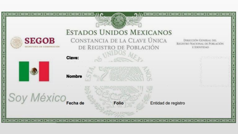 Qué es el CURP y para qué sirve Explicación sencilla para niños