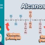 Cuáles son las propiedades de los alcanos del metano al decano los-alcanos