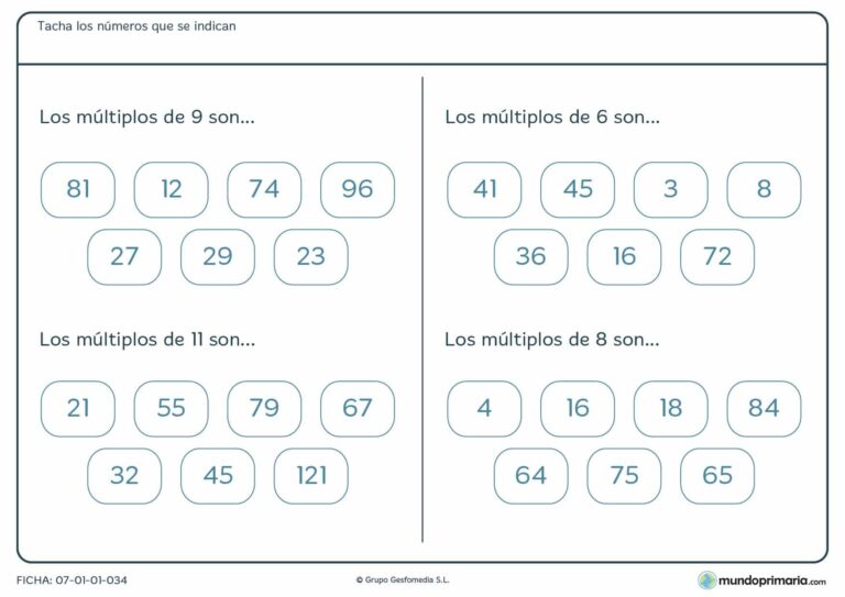 Cuántas horas de matemáticas se enseñan en primaria