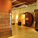 Qué ofrece el Museo del Vino en la Bodega La Rural en San Felipe museo-vino