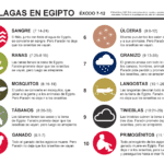 Cuántas plagas envió Dios a Egipto según la Biblia plagas-egipto