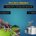 Qué son el proceso primario y secundario según Freud proceso-primario