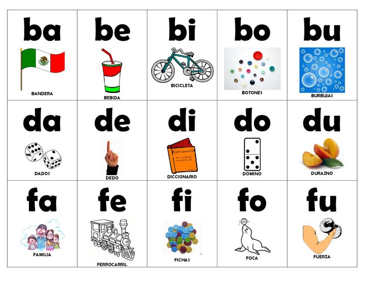Cuáles son ejemplos de palabras de cuatro sílabas con dos vocales