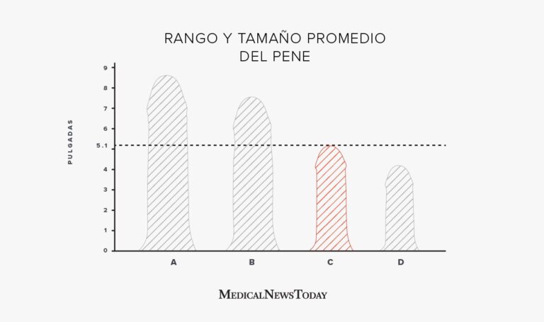 Cuándo deja de crecer un perro: etapas del desarrollo canino