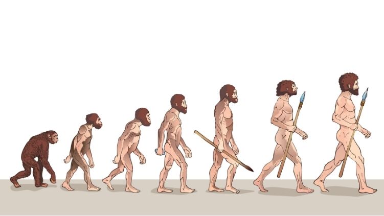 Cuál es el resumen del origen del hombre según Charles Darwin 8 Cuál es el resumen del origen del hombre según Charles Darwin