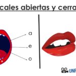Hiato y diptongo en gramática: significados y diferencias vocal-cerrada