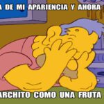 yo-vivia